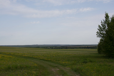 Similar image 21970841