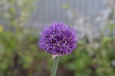 Similar image 21970844