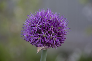 Similar image 21970845