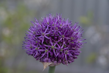 Similar image 21970846