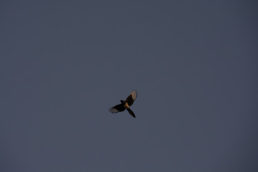 Similar image 21970847