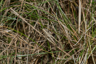 Similar image 21971041