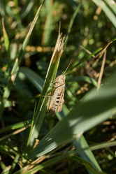 Similar image 21973723