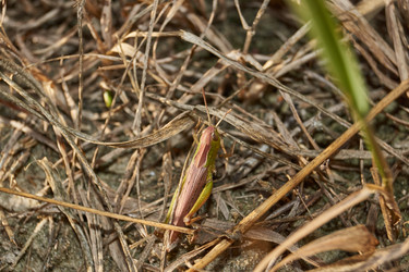 Similar image 21973725