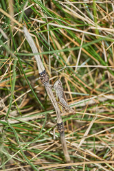 Similar image 21973726