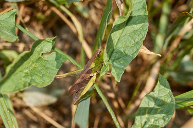 Similar image 21973729