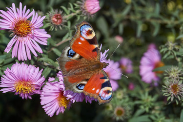 Similar image 21973730