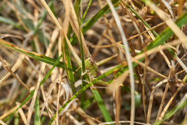 Similar image 21973732