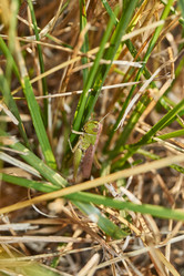 Similar image 21973734