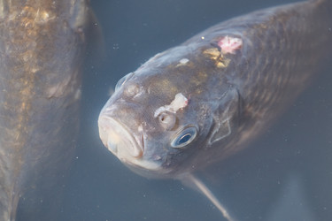 Similar image 21973735