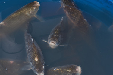 Similar image 21971043