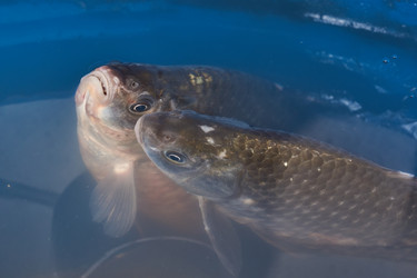 Similar image 21973736