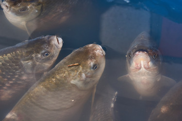 Similar image 21973737