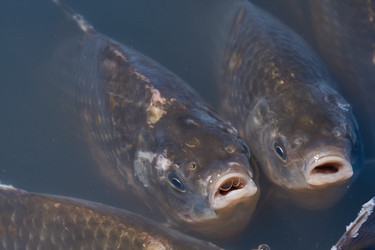 Similar image 21973738