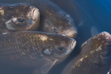 Similar image 21973741