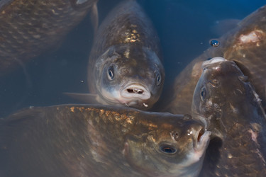 Similar image 21973742