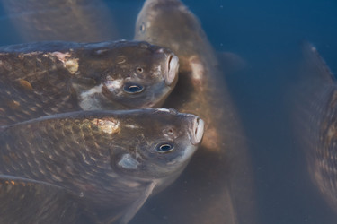 Similar image 21973743