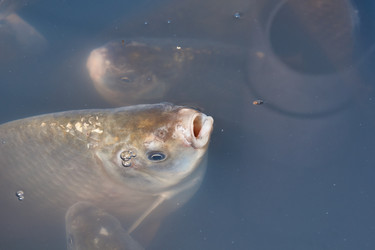 Similar image 21973744