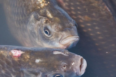 Similar image 21973745