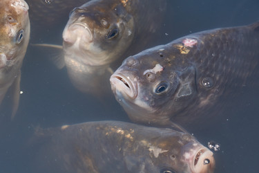 Similar image 21973746