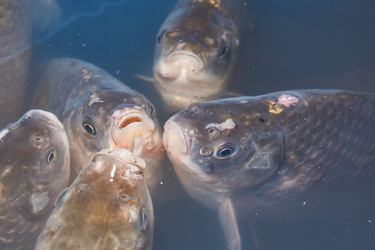 Similar image 21973748