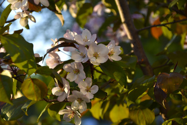 Similar image 21971405