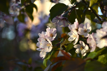 Similar image 21971409