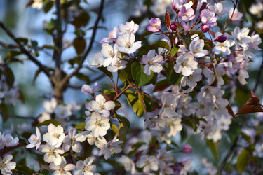 Similar image 21971410