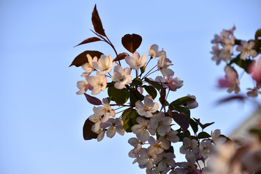 Similar image 21971411