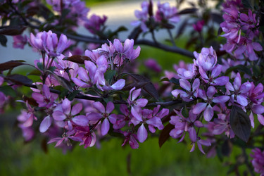 Similar image 21971412