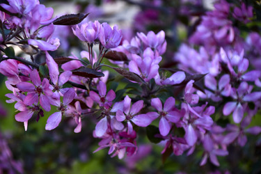 Similar image 21971413