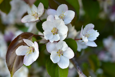 Similar image 21971415