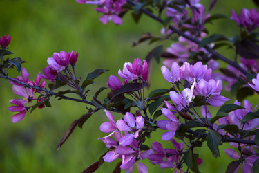 Similar image 21971416