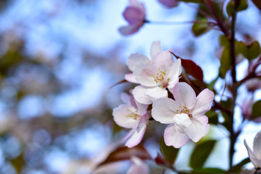 Similar image 21971419