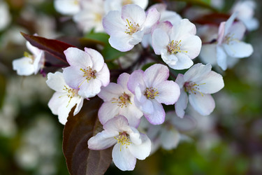 Similar image 21971421