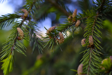 Similar image 21971427