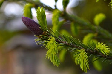 Similar image 21971428