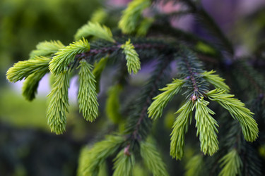 Similar image 21971429