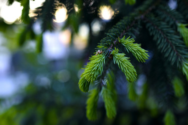 Similar image 21971430