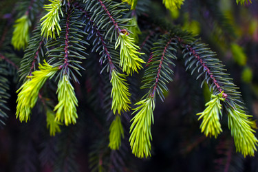 Similar image 21971432