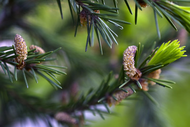 Similar image 21971433