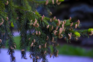 Similar image 21971434