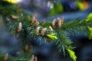 Similar image 21971435