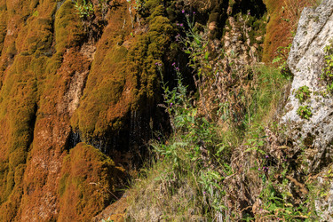 Similar image 21973411