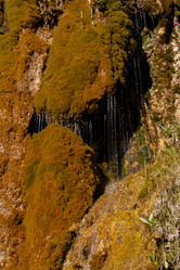 Similar image 21973414