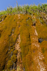 Similar image 21973415