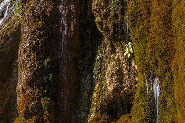 Similar image 21973416