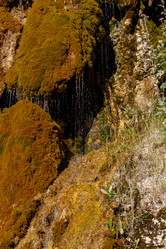 Similar image 21973417