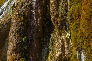 Similar image 21973418