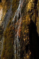 Similar image 21973421